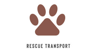 Rescue Transport